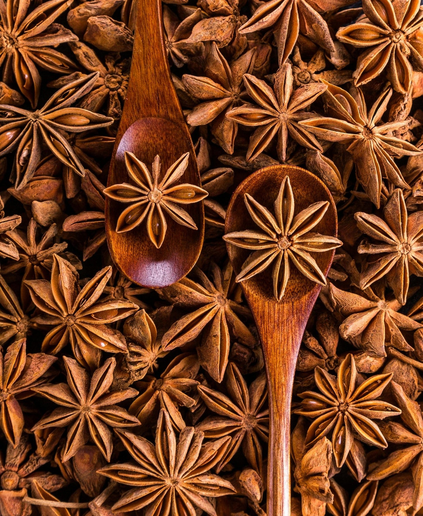 Star Anise (Indian Origin, Whole) - Omsim Exports
