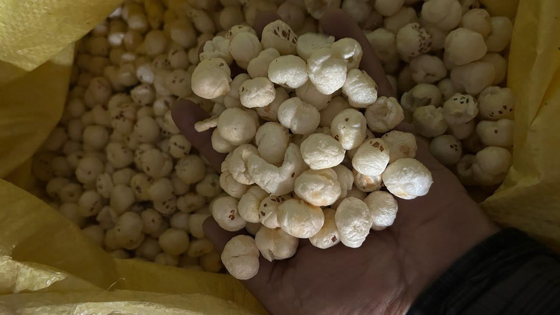 Premium Makhana (Fox Nuts) from Bihar, India – A Global Superfood - Omsim Exports