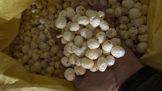 Premium Makhana (Fox Nuts) from Bihar, India – A Global Superfood - Omsim Exports