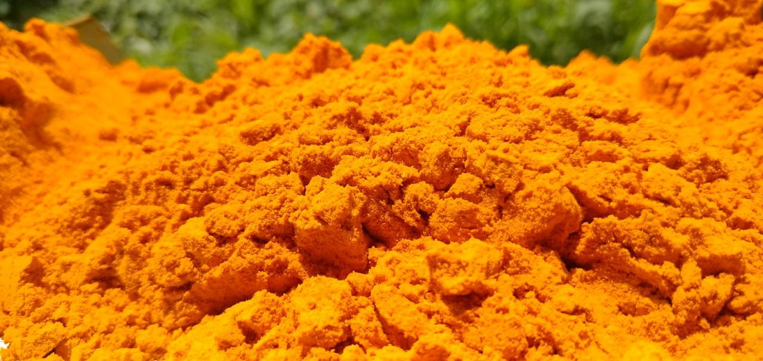 Top 5 Indian Superfoods: Ancient Secrets for Modern Health - Omsim Exports