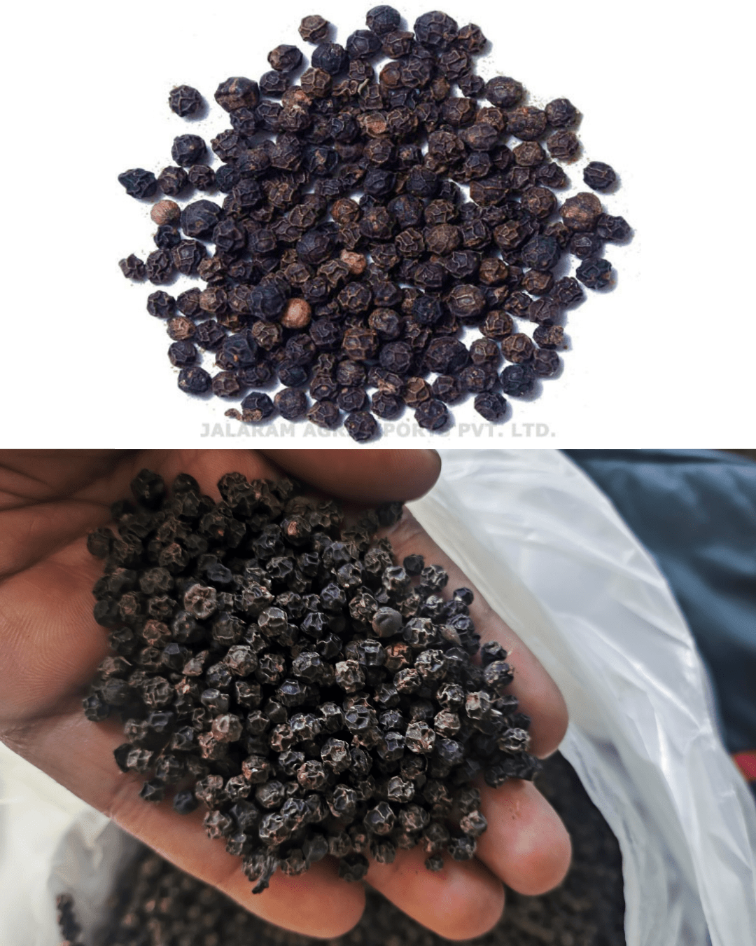 Black Peppercorns Whole – Export Grade - Omsim Exports