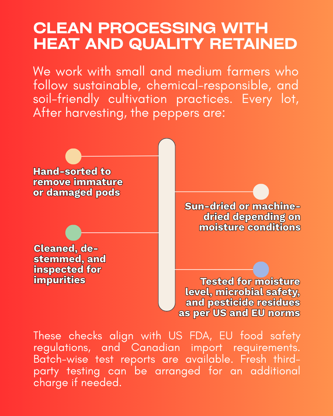 Dehydrated Ghost Pepper (Bhut Jolokia) – Export - Grade Quality - Omsim Exports