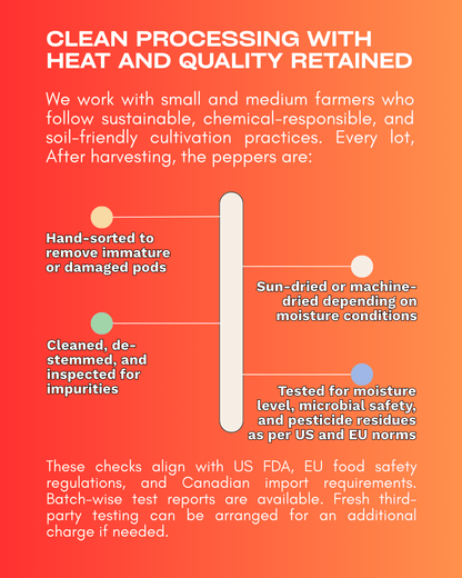 Dehydrated Ghost Pepper (Bhut Jolokia) – Export - Grade Quality - Omsim Exports
