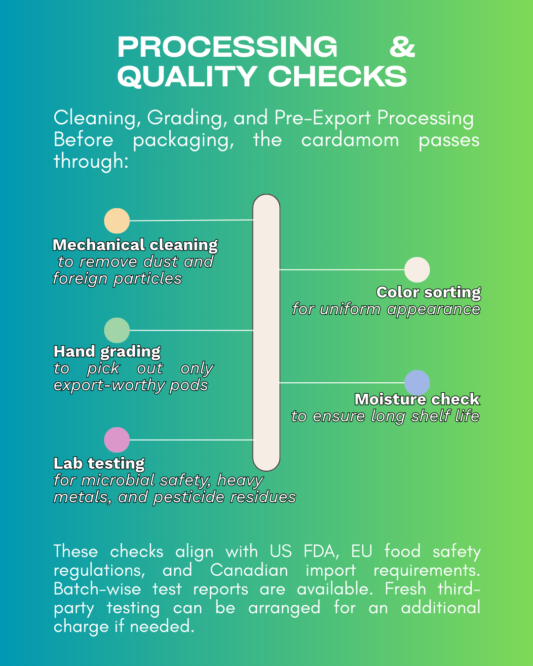 Green Cardamom Pods (Single - Origin India) – Export Grade - Omsim Exports