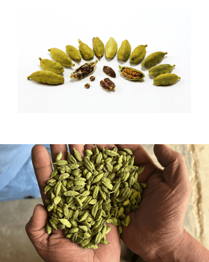 Green Cardamom Pods (Single - Origin India) – Export Grade - Omsim Exports