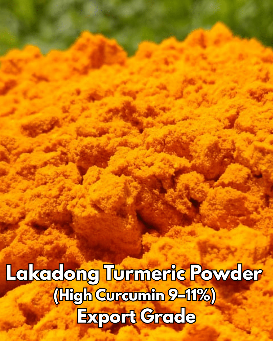 Lakadong Turmeric Powder High Curcumin 9–11% Export Grade - Omsim Exports