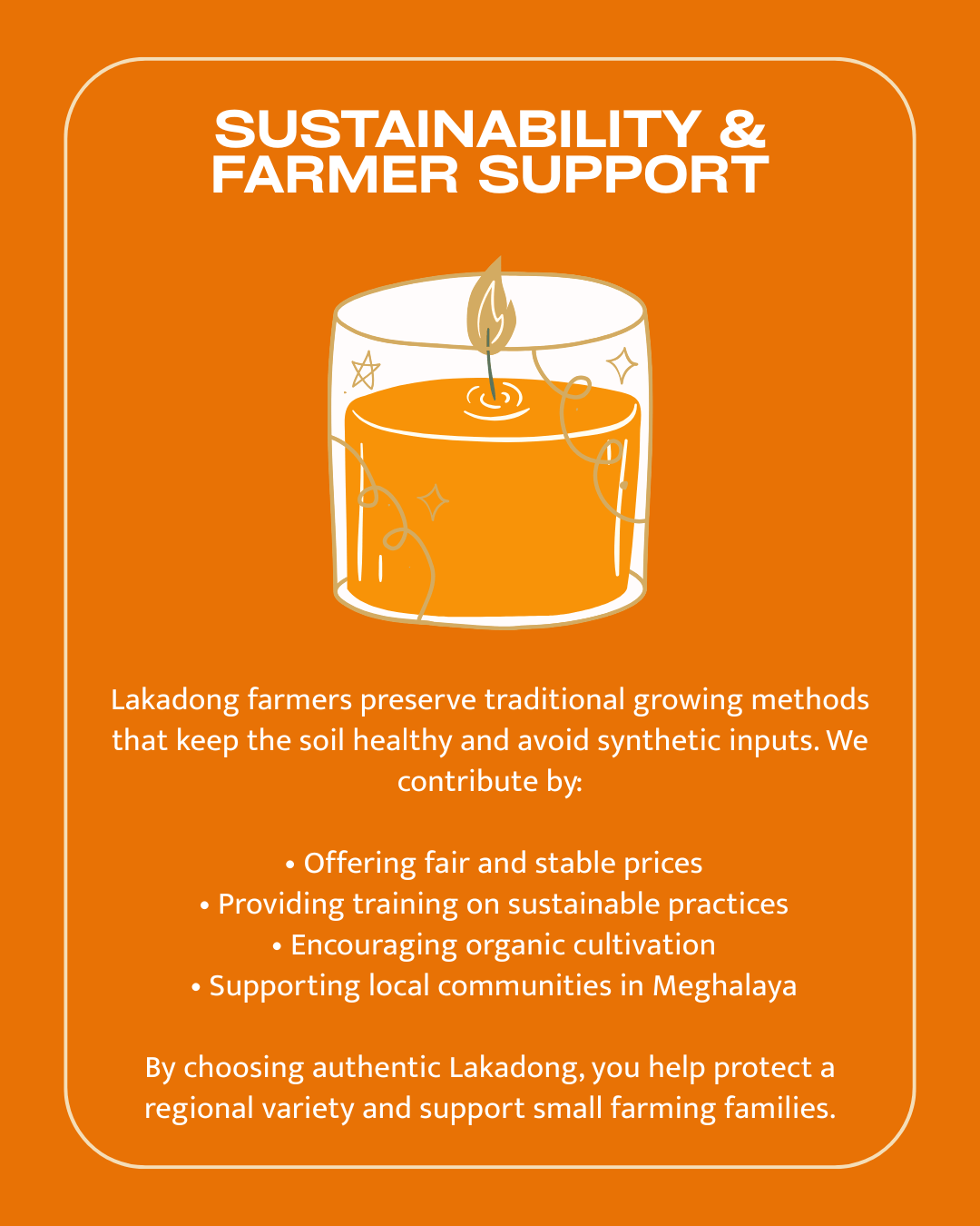 Lakadong Turmeric Powder High Curcumin 9–11% Export Grade - Omsim Exports