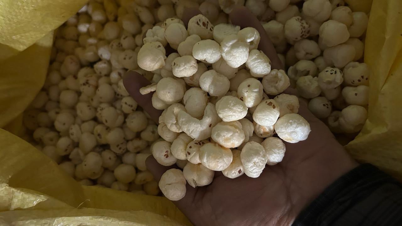 Premium Graded Makhana (Fox Nuts) – Large Size, Export Quality, Naturally Gluten - Free 10kg Pack - Omsim Exports