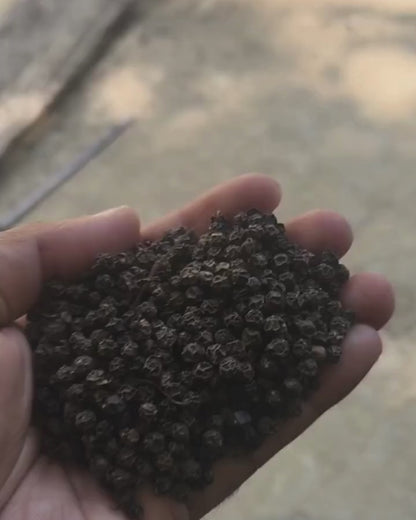 Black Peppercorns Whole  – Export Grade