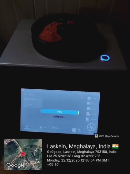 Lakadong Turmeric Powder High Curcumin 9–11% Export Grade