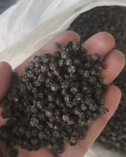 Black Peppercorns Whole  – Export Grade