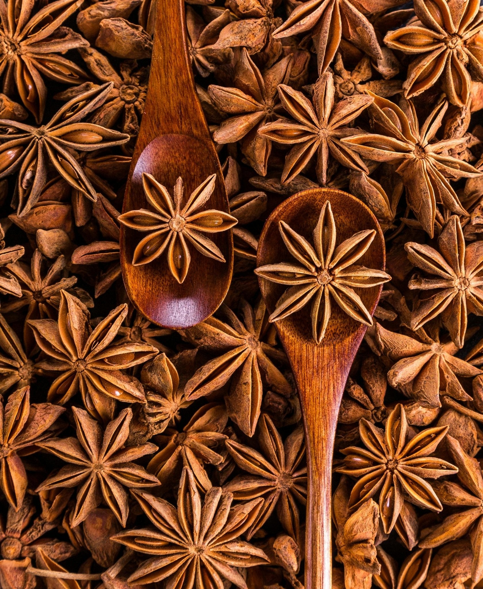 Star Anise (Indian Origin, Whole) - Omsim Exports